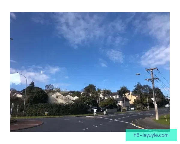 波波维奇破门悉尼11奥克兰被平